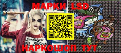 spice Бийск