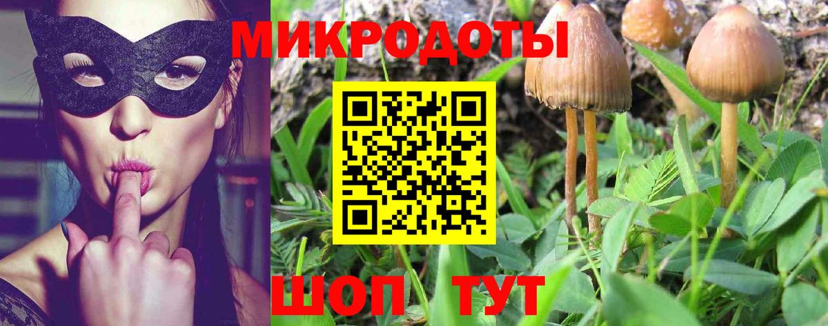 Галлюциногенные грибы GOLDEN TEACHER  Вход с VPN  Зеленодольск 