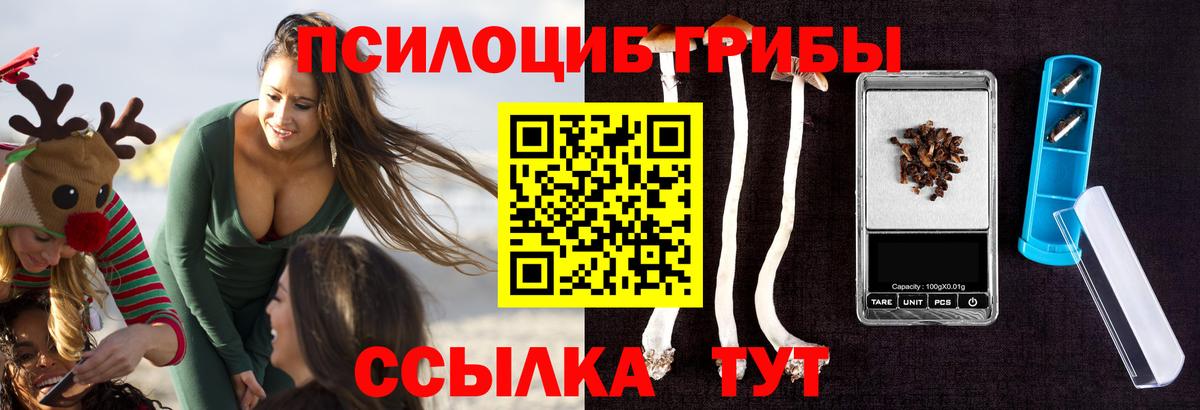 Галлюциногенные грибы Cubensis Зеленодольск